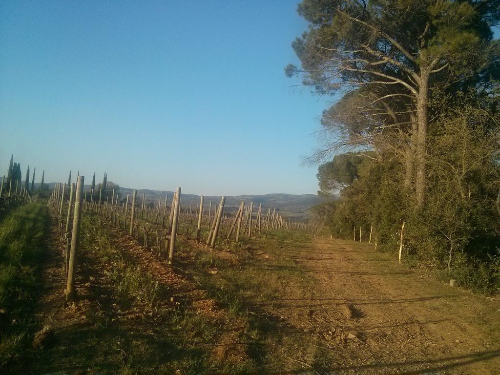 Argiano Dimore Wine Relais Zewnętrze zdjęcie
