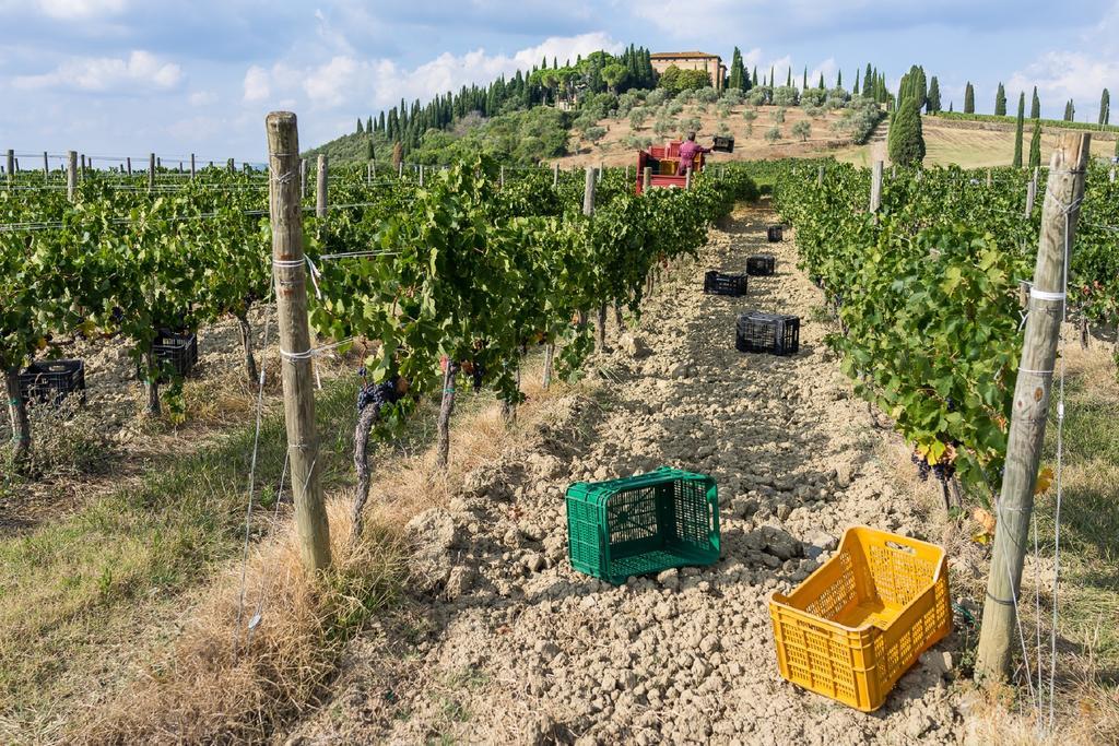 Argiano Dimore Wine Relais Zewnętrze zdjęcie